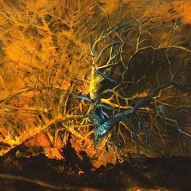 Burning Pi&ntilde;on II, 4 ft x 4 ft