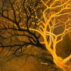 Pi&ntilde;on, 4 ft x 4 ft